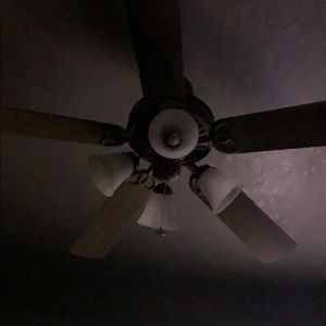 Meet your Posher, Leslie